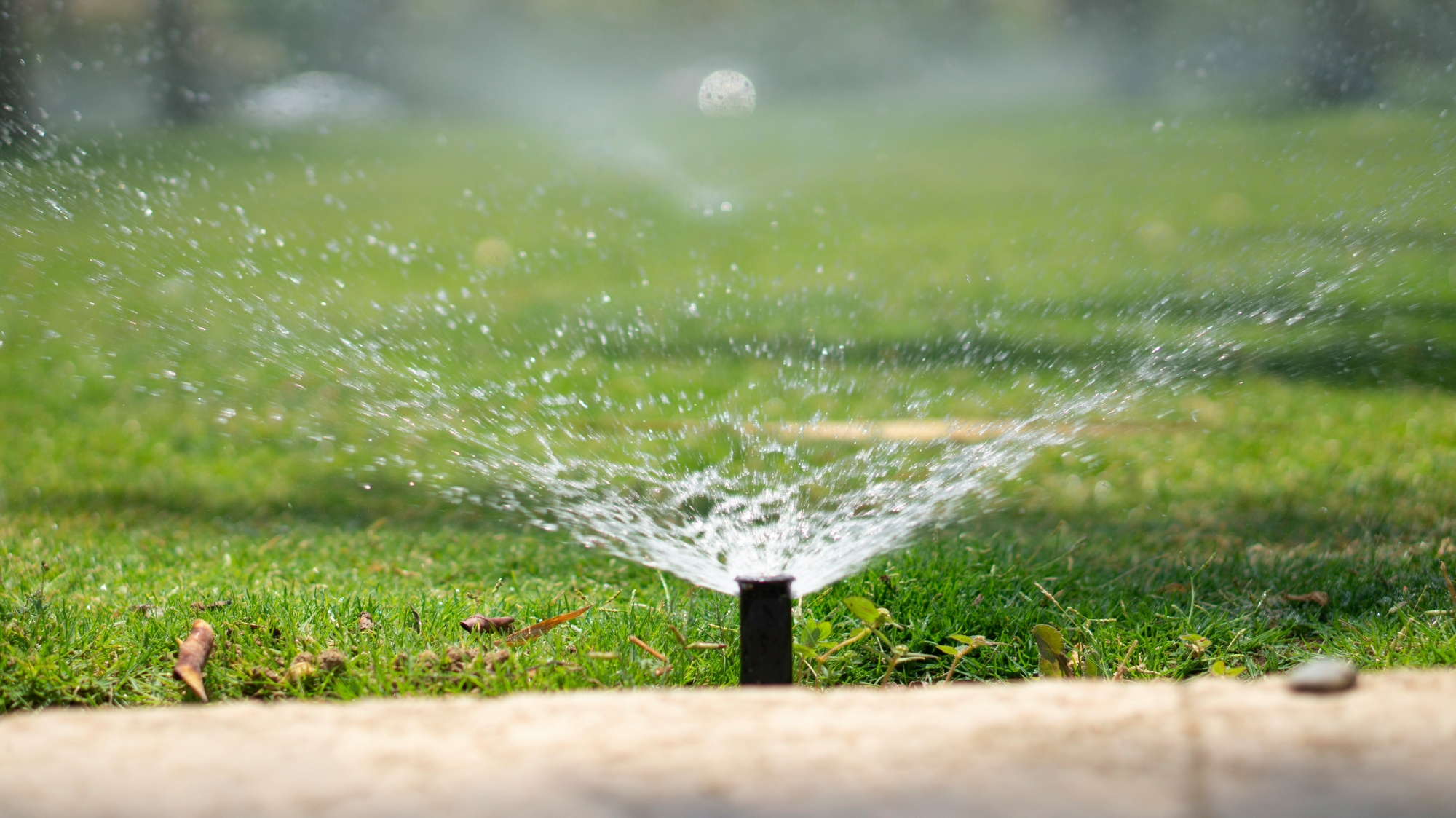 Impact of Temporary Use Bans (hosepipe bans) for Business Customers